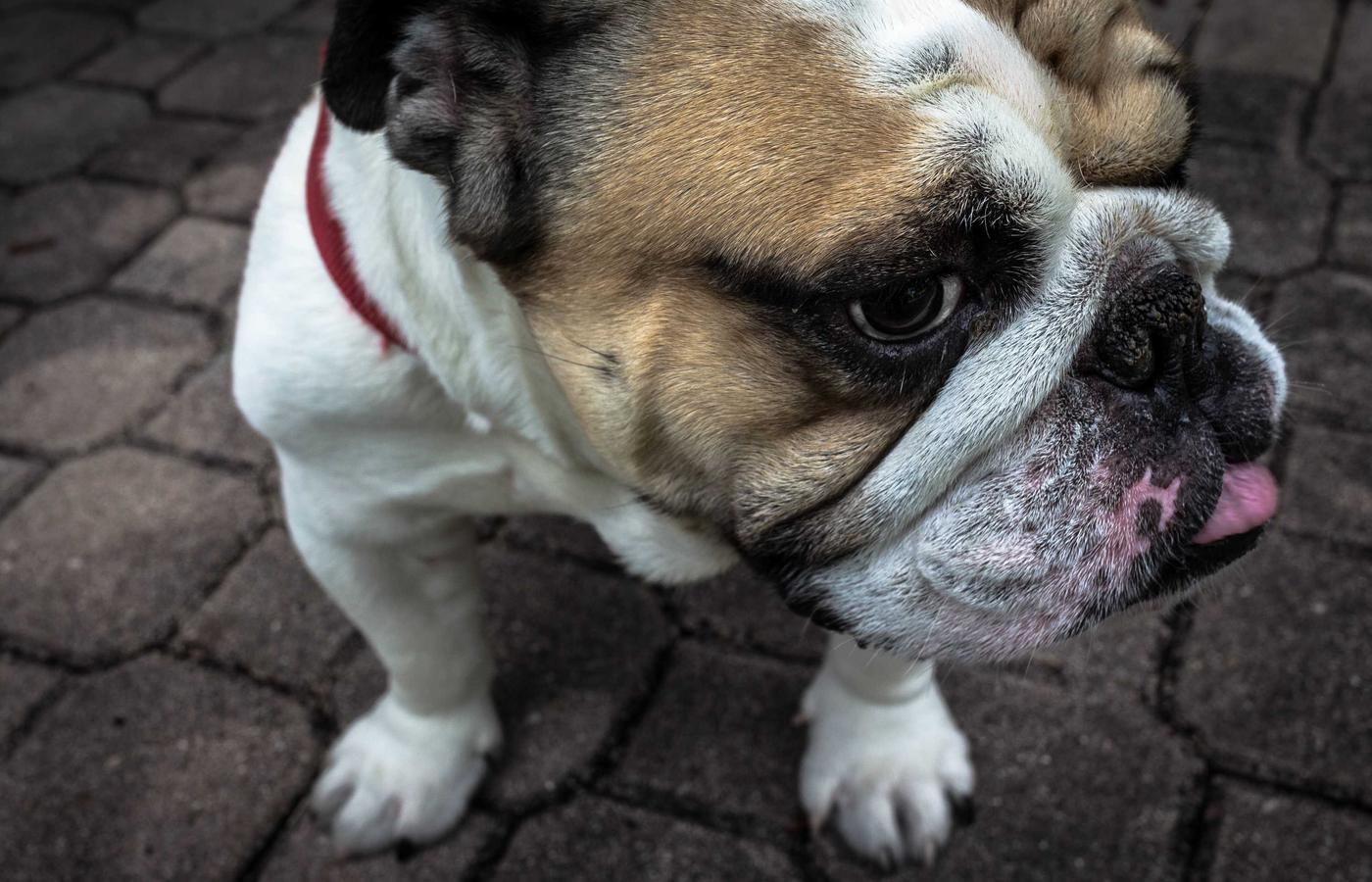 A technician working on a satellite component in a clean room